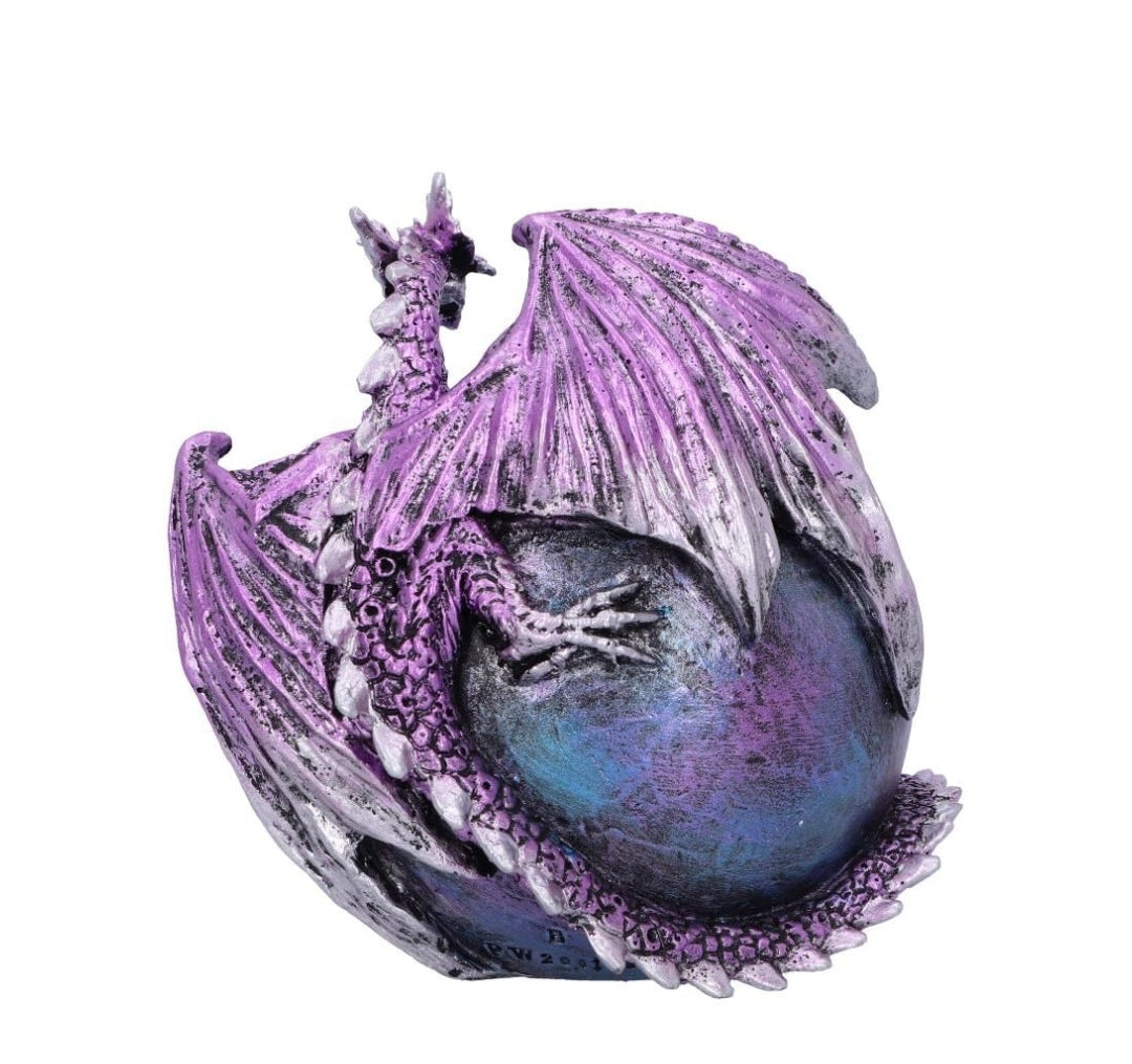 Crevice Creeper Purple Dragon