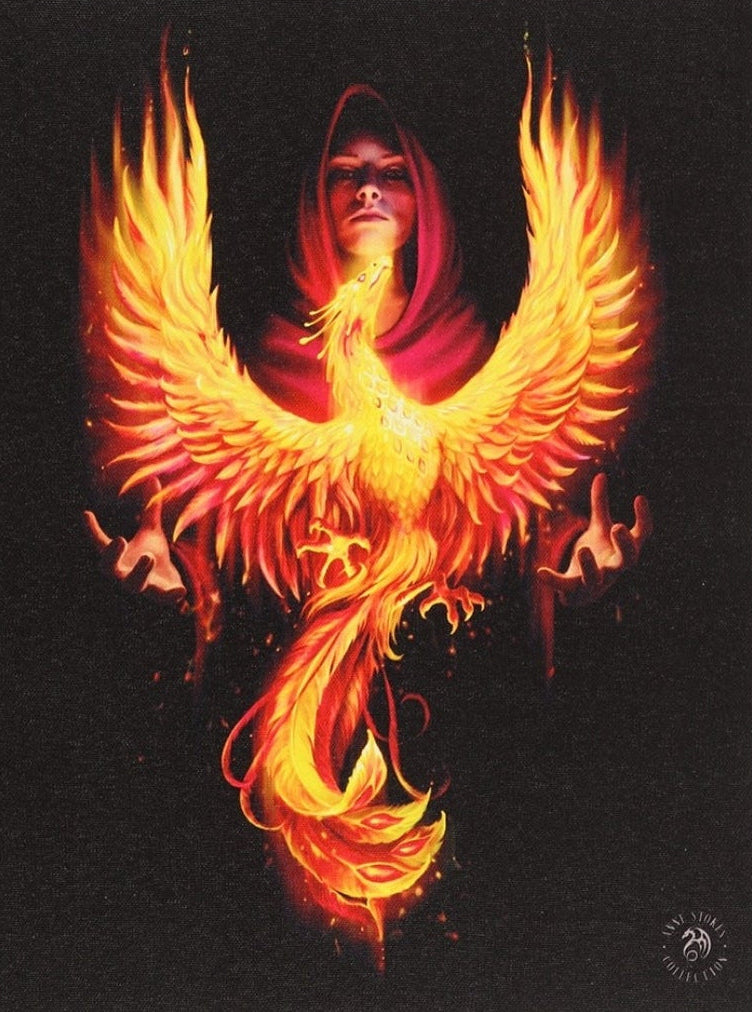 Phoenix Rising Canvas Plaque - Anne Stokes