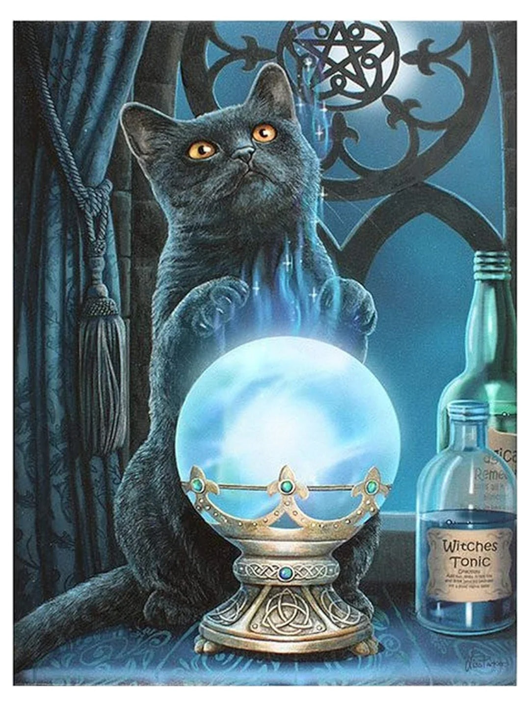 The Witches Apprentice Canvas Plaque - Lisa Parker