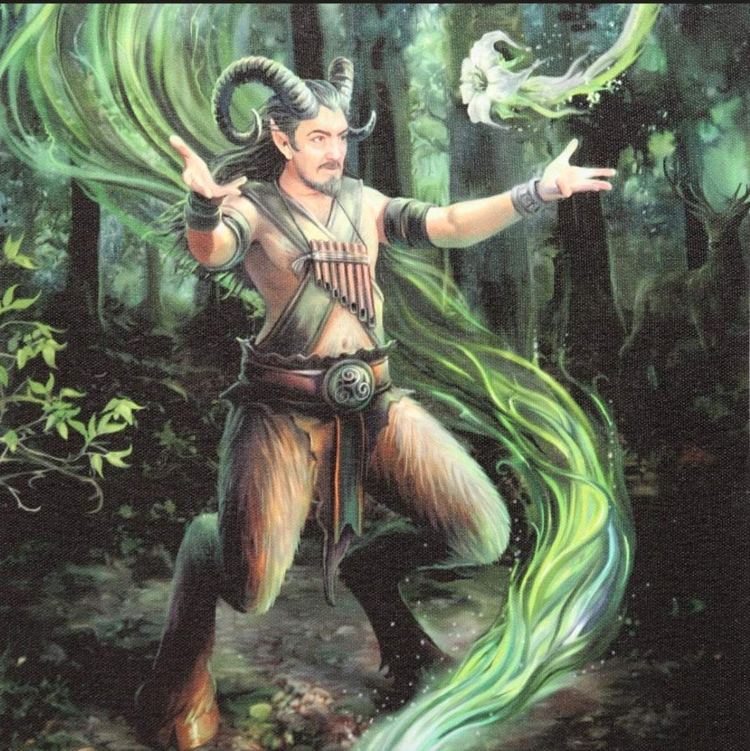 Earth Element Wizard Canvas Plaque - Anne Stokes
