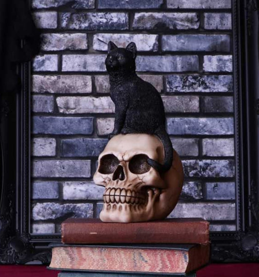 Familiar Fate Skull