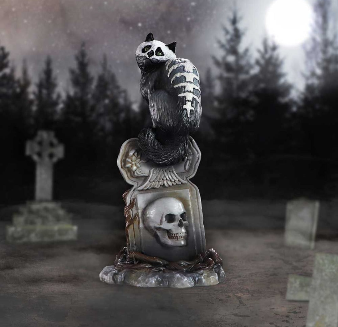 Skull Cat - Martin Hanford