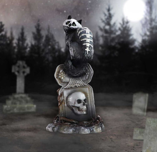 Skull Cat - Martin Hanford
