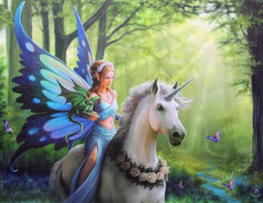 Realm of Enchantment Canvas Plaque - Anne Stokes