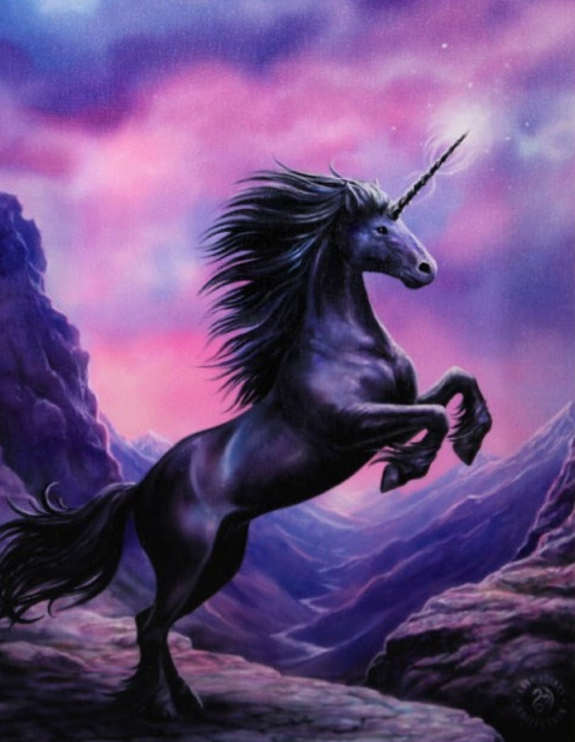 Black Unicorn Canvas Plaque  - Anne Stokes