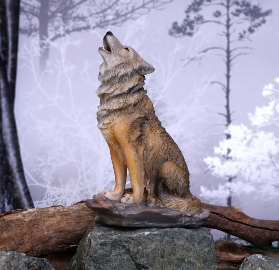 Mountains Cry