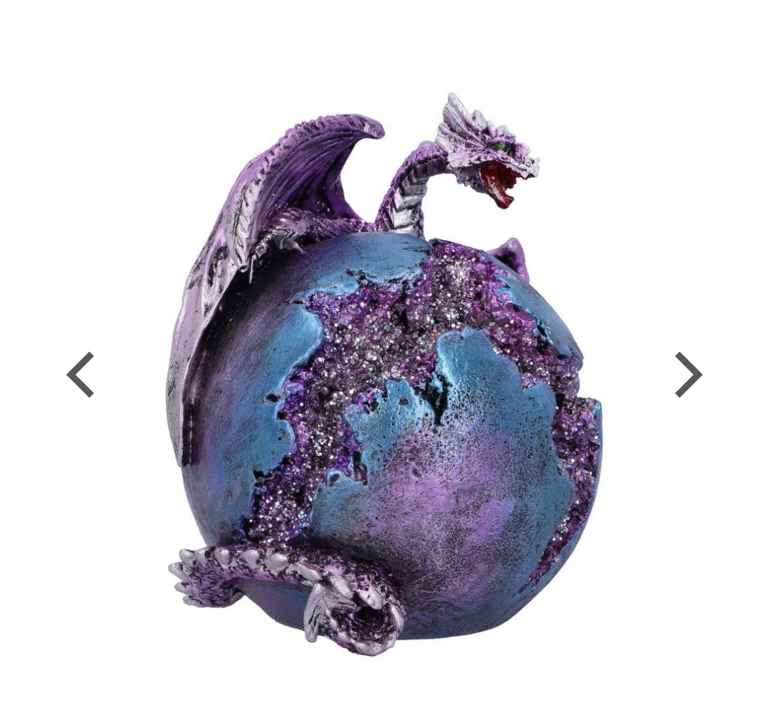 Crevice Creeper Purple Dragon