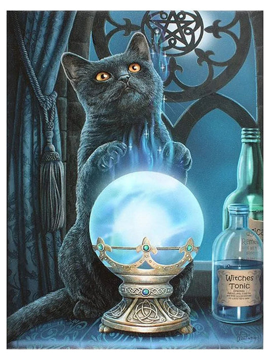 The Witches Apprentice Canvas Plaque - Lisa Parker