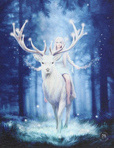 Fantasy Forest Canvas Plaque - Anne Stokes