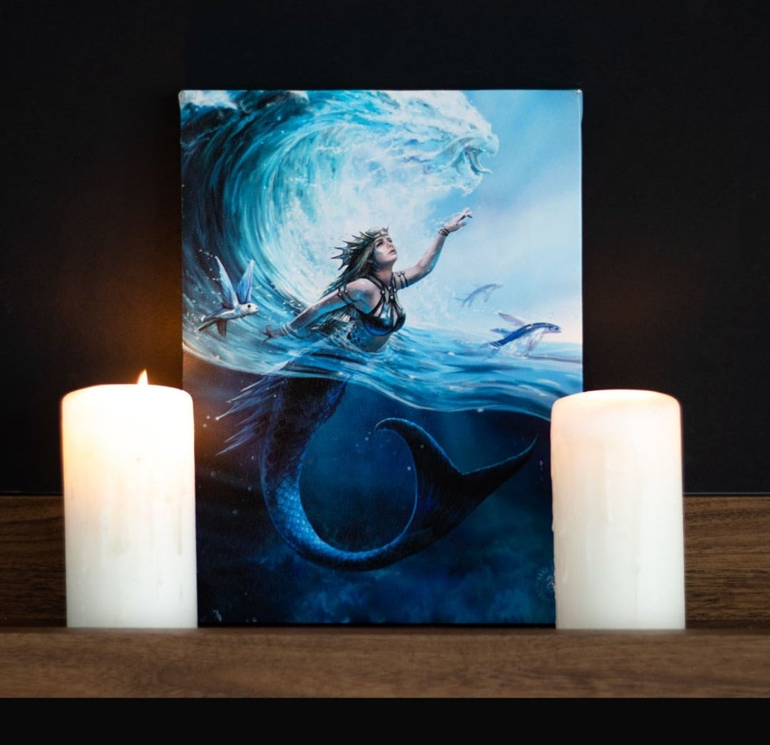 Water Element Sorceress Canvas Plaque - Anne Stokes