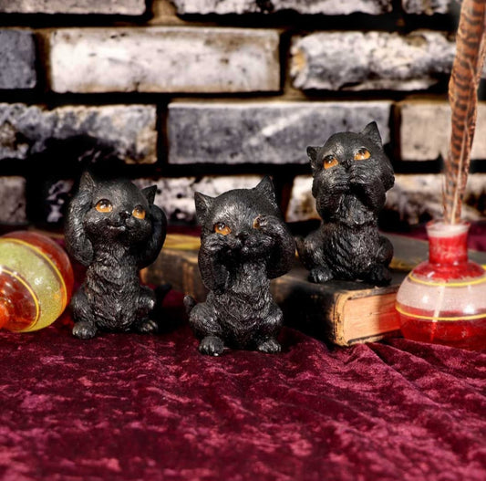 Three Wise Kitties