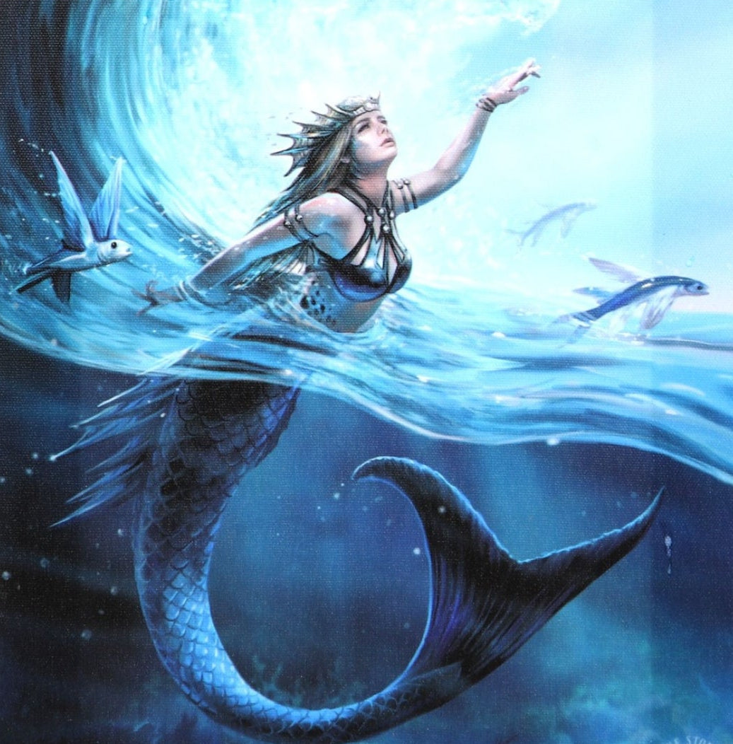Water Element Sorceress Canvas Plaque - Anne Stokes