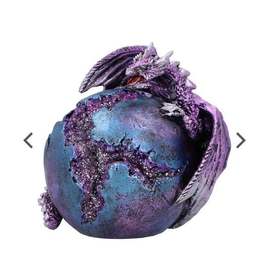 Crevice Creeper Purple Dragon