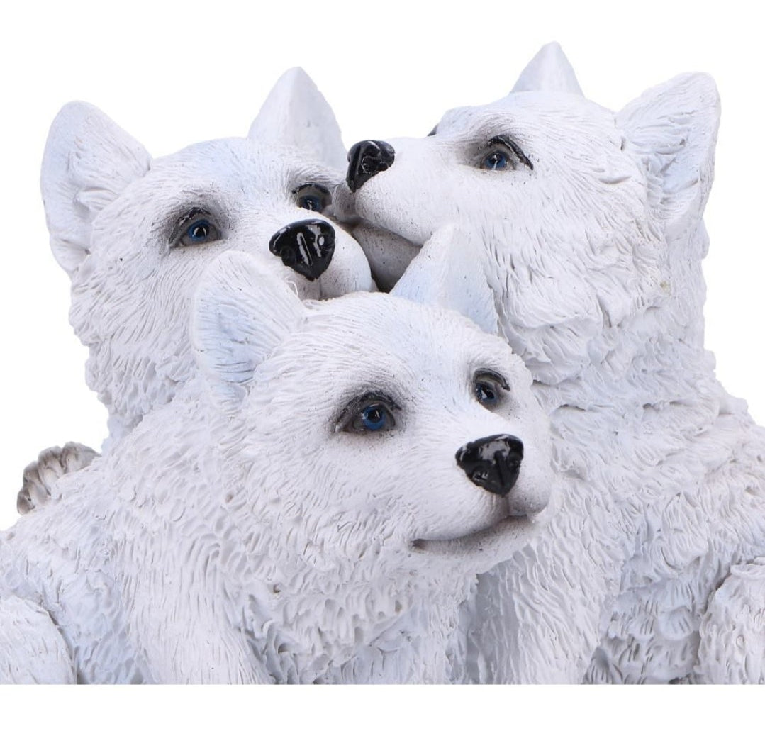 Cub Cuddle