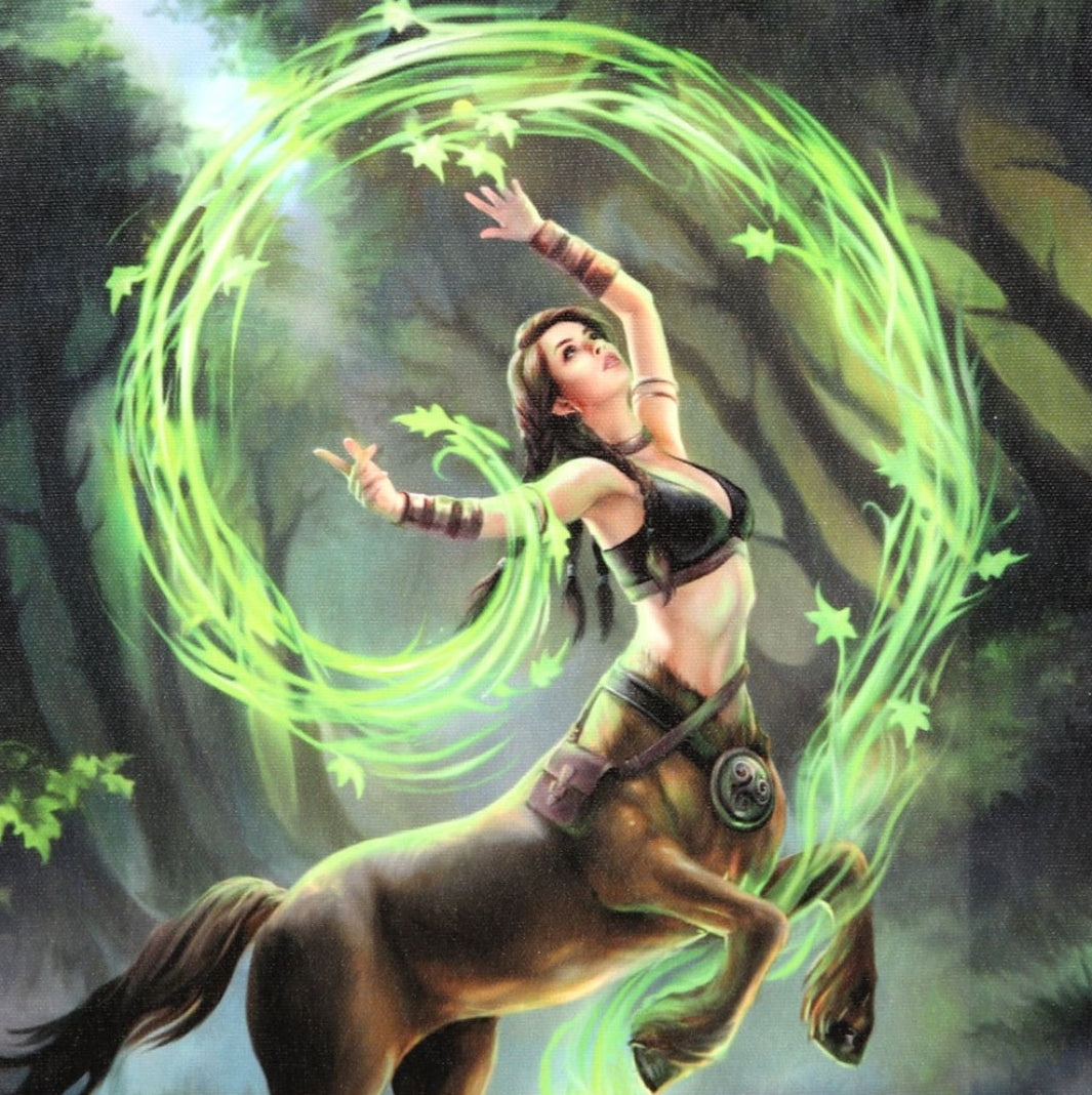 Earth Element Sorceress Canvas Plaque - Anne Stokes
